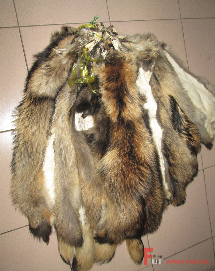 Raccoon Fur Skin