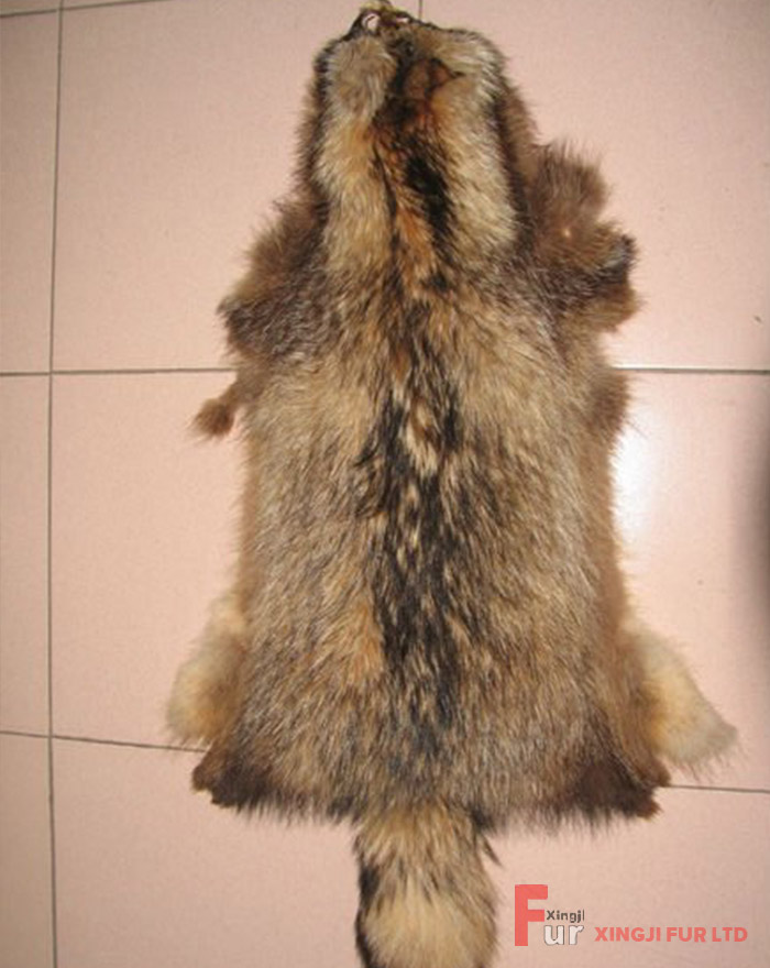 Raccoon Fur Skin