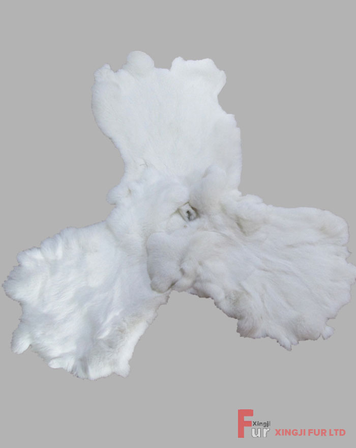 White Rabbit Fur Skin