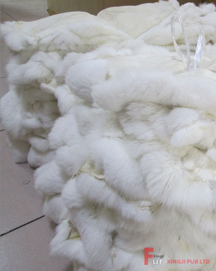 White Rabbit Fur Skin