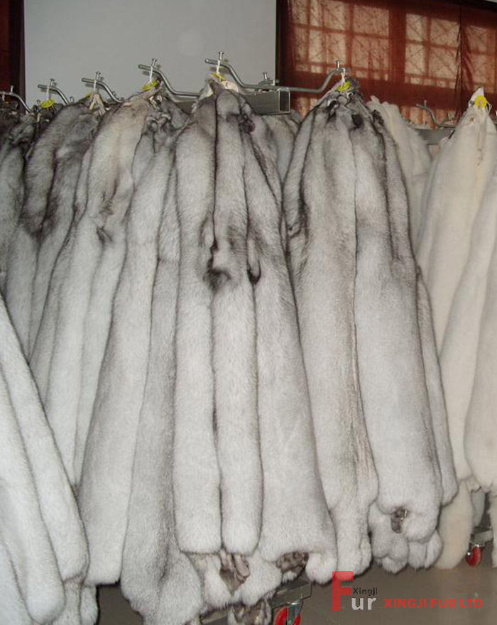 Blue Fox Fur Skin