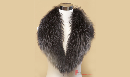 True and false identification of fur plate