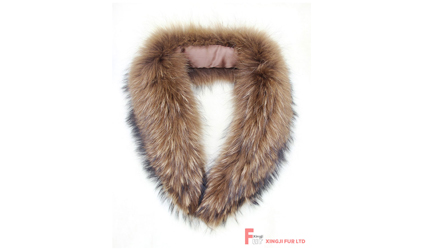 The Charm of Fur Collar