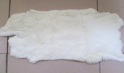 The source of the raw material of the fur