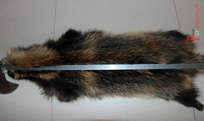 Methods of outdoor maintenance of fur