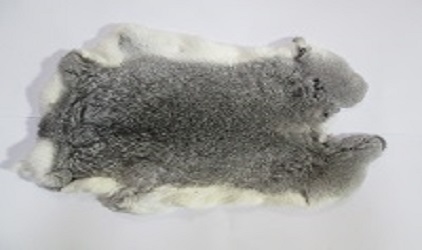 Fur Skin