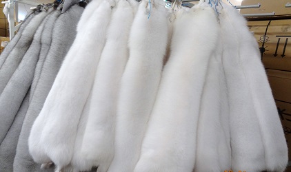 How To Deal With White Fur Collar Turnned Yellow?