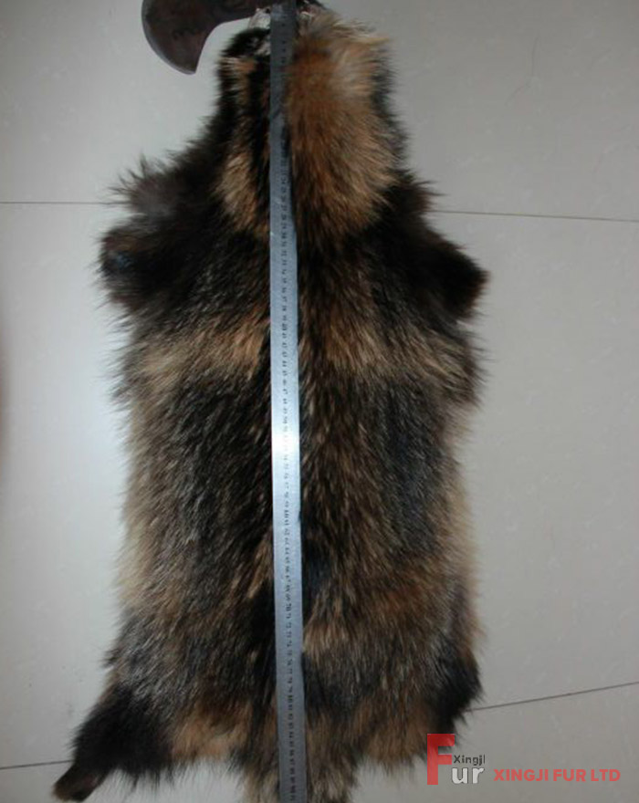 Raccoon Fur Skin